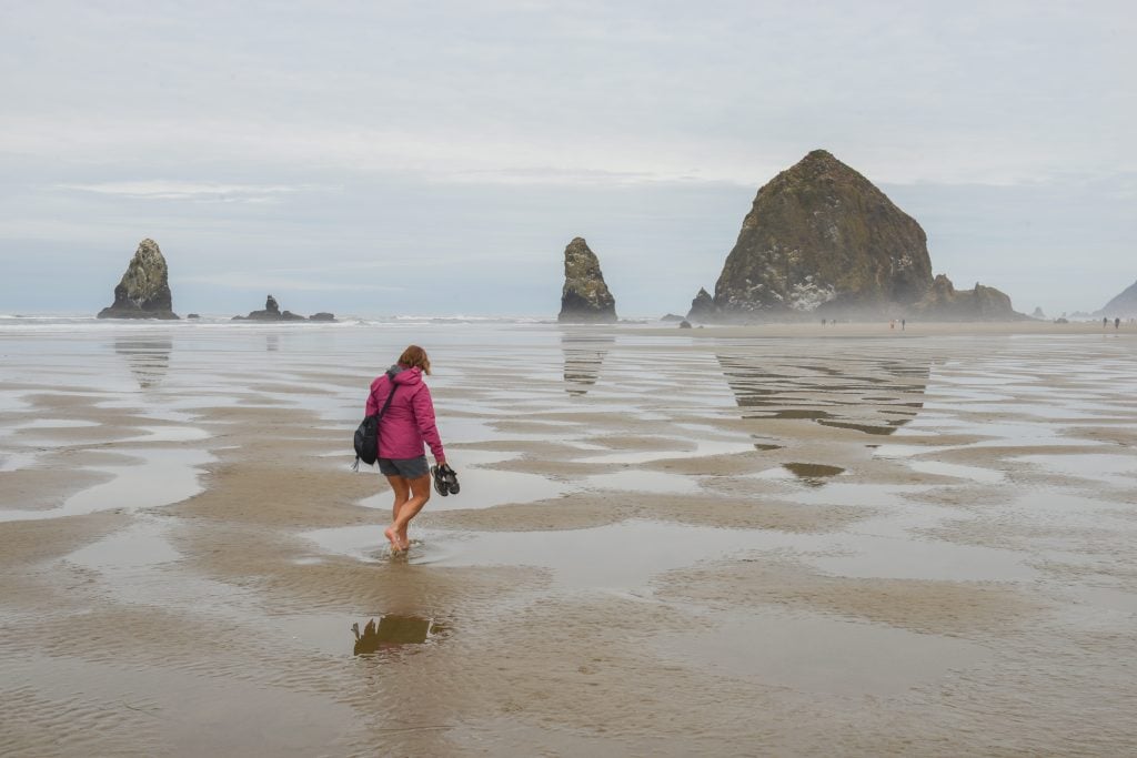 Haystack Rock Spring Why Do People Visit Haystack Rock? - Drivin' & Vibin'