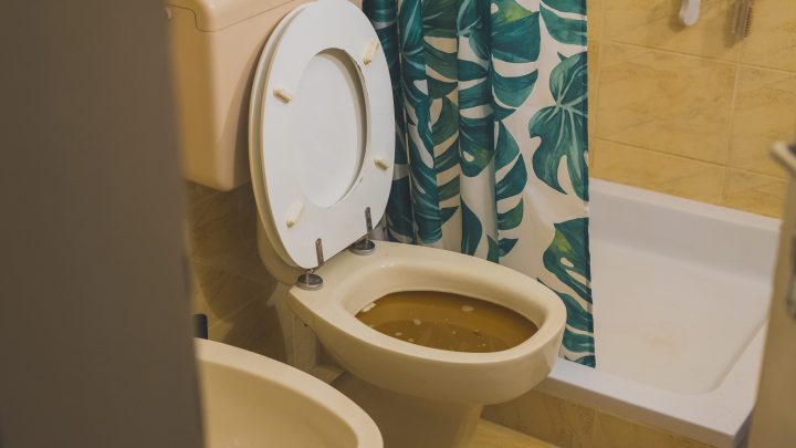 How to Unclog Your Toilet Without a Plunger (5 Examples)