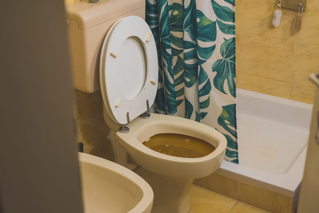 Toilet filled up to the rim with brown water, stuck debris in a home toilet. Help, plumber wanted! Please unclog my toilet bowl!