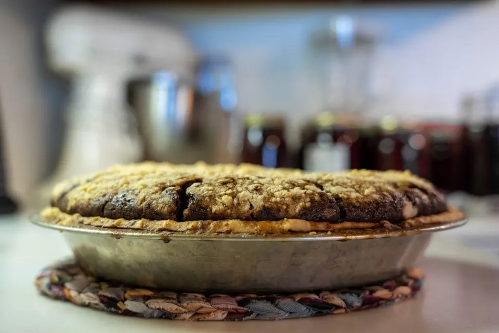 Close-up image of a mysterious pie. Who knows what this horrifying dessert might contain?