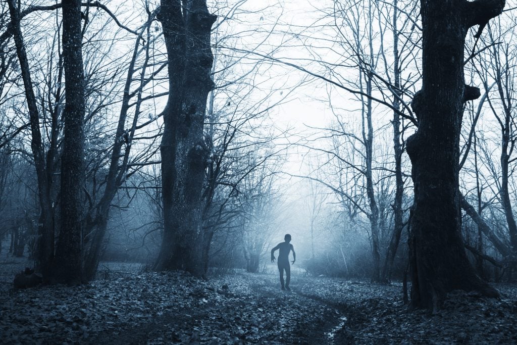 Dogman in dark foggy forest 
