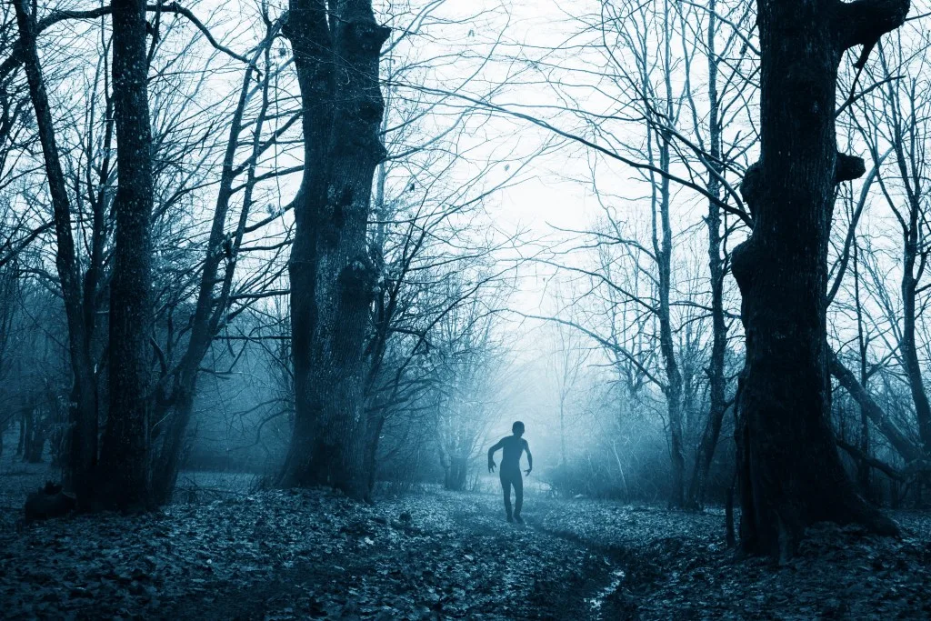 Dogman in dark foggy forest 
