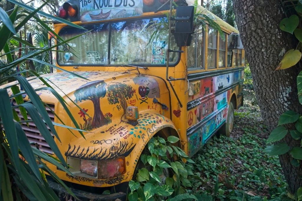 Bus covered in graffiti in forest 