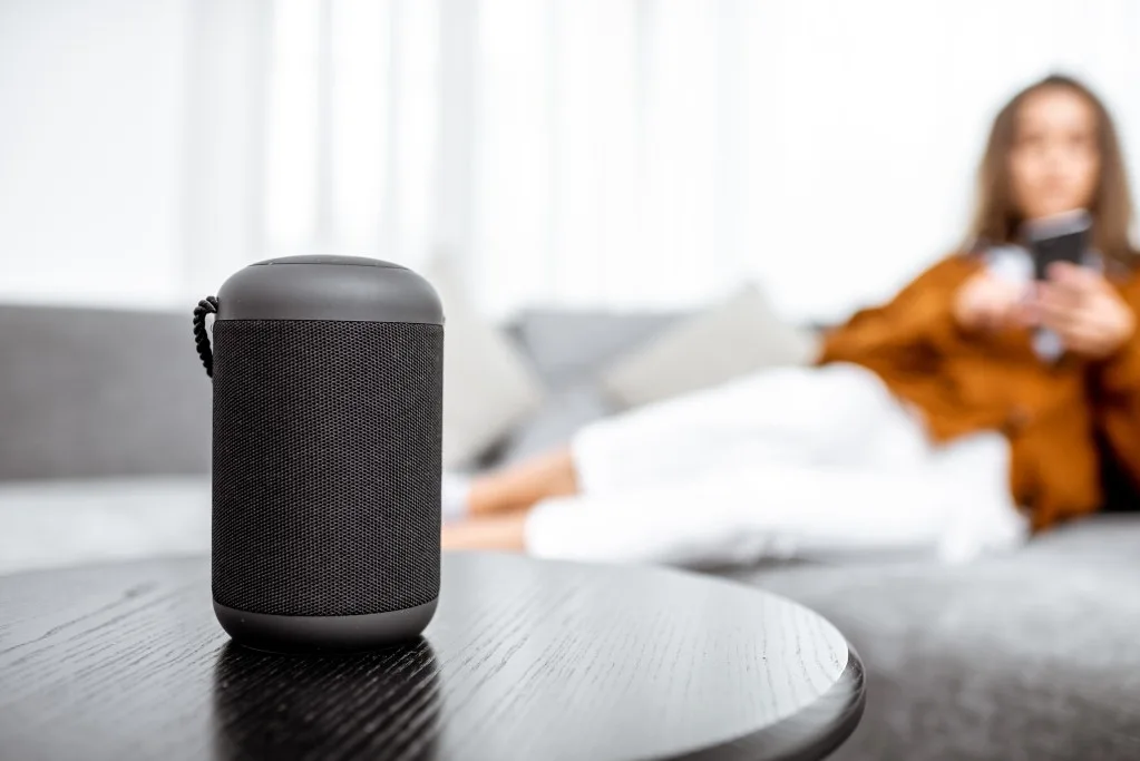 Voice assist speaker in home