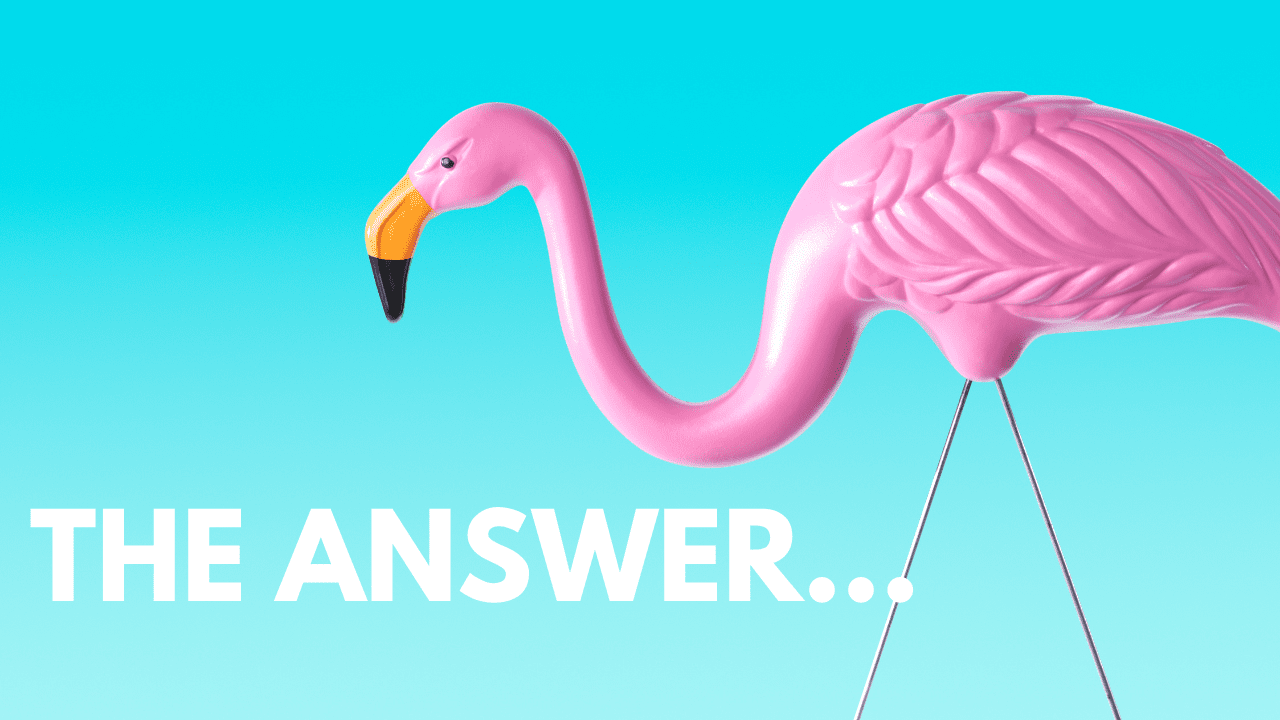 The Suspicious Meaning of Pink Flamingos pic image