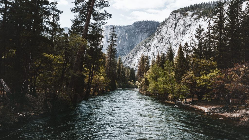 River in Yosemite National Park