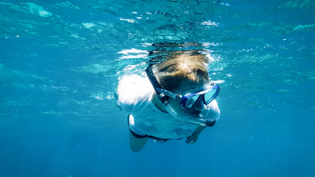Snorkeling in the Florida Keys