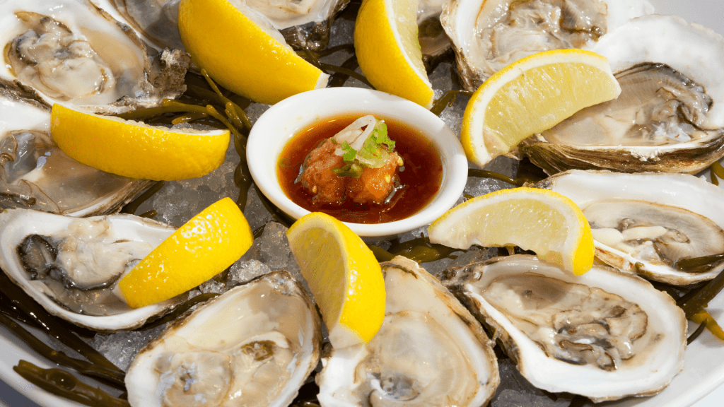 Maine oysters