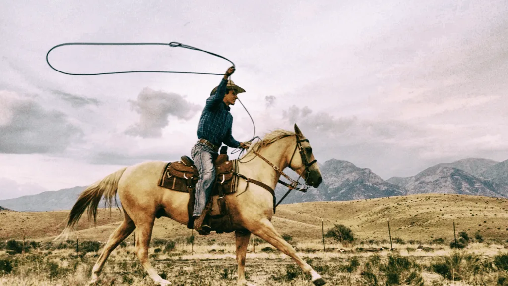 Cowboy in Texas