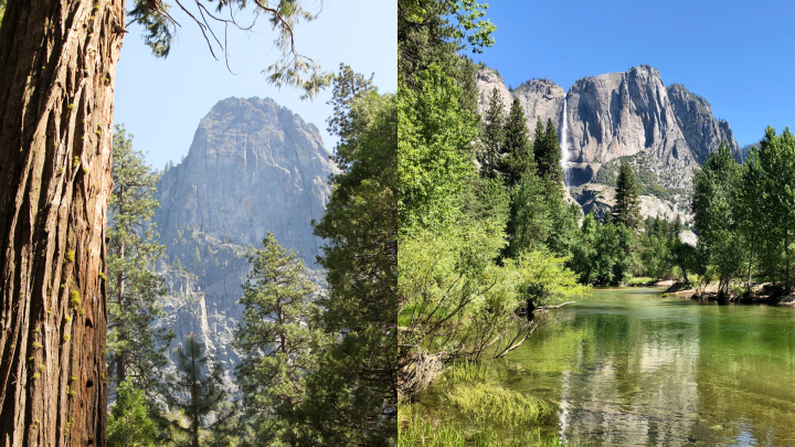 Yosemite Falls and El Capitan