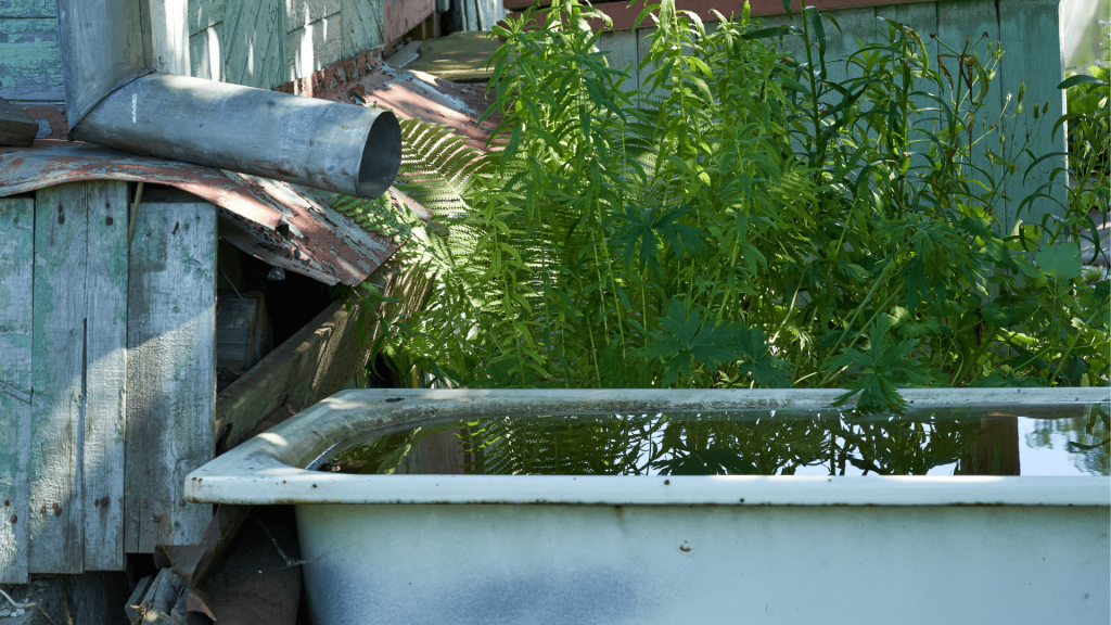 How to Collect Rainwater Drivin' & Vibin'