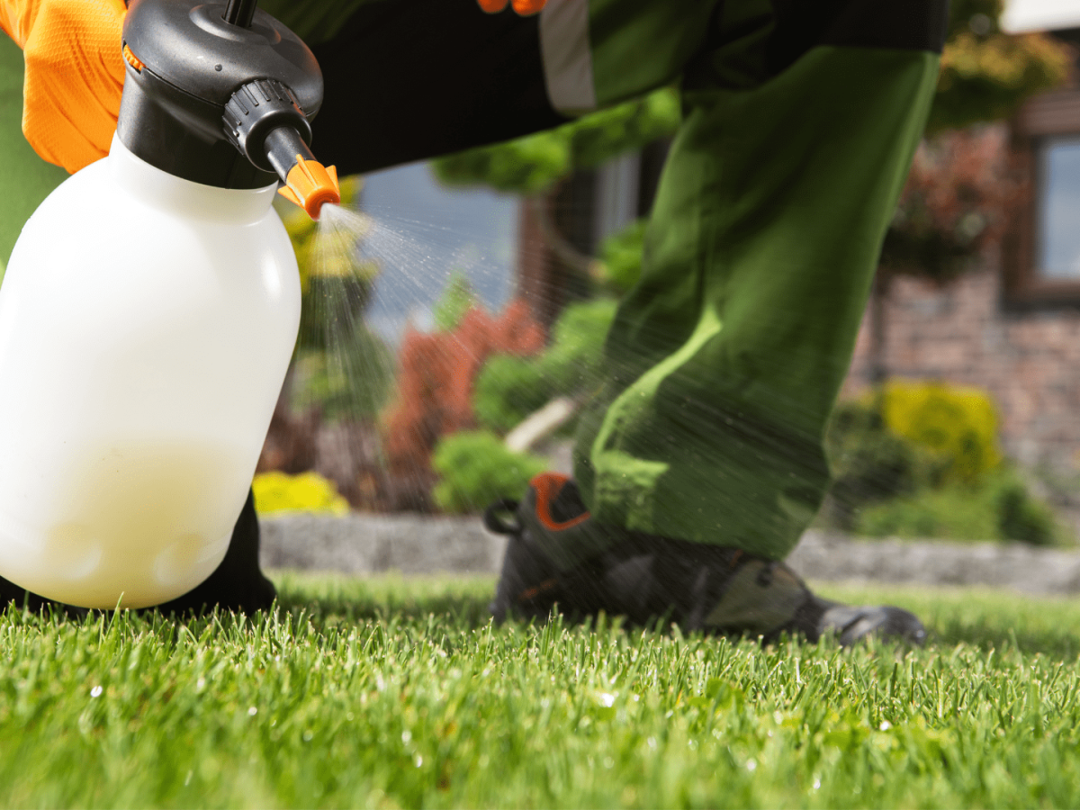 5 Surprising Things That Will Kill Your Grass
