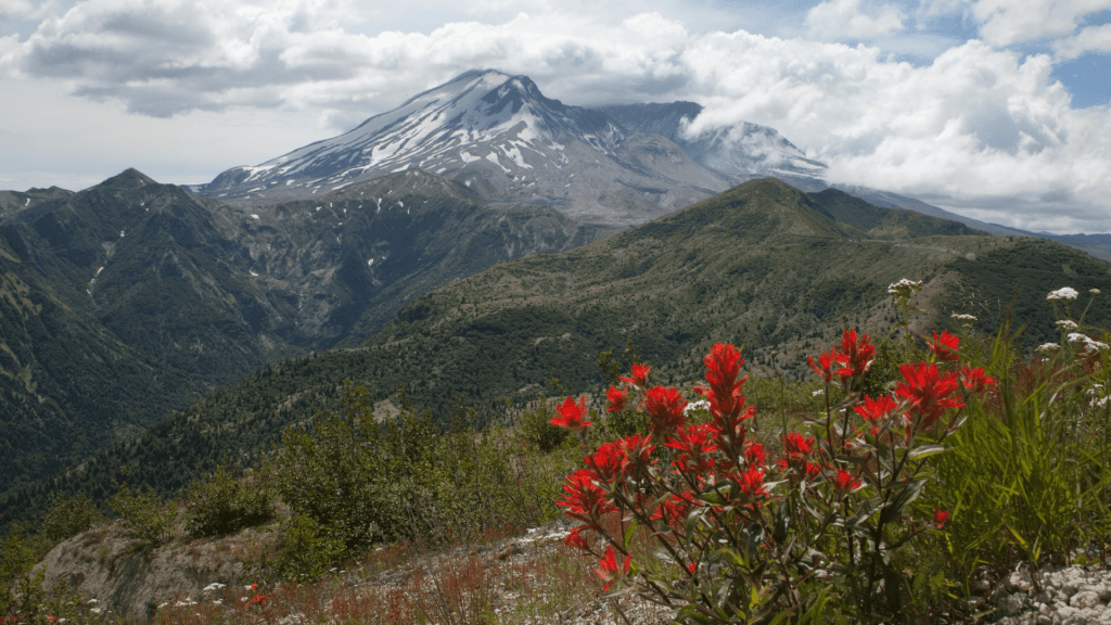 View of Mount St. Helens