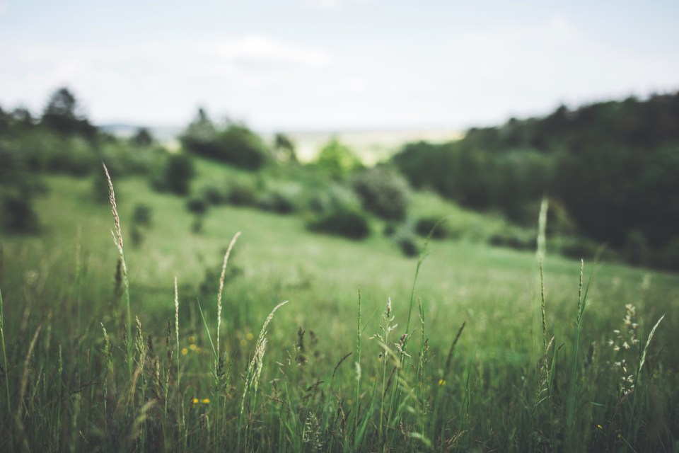 Campsites Near Me Free Locations for Outdoor Adventures Without Spending a Dime