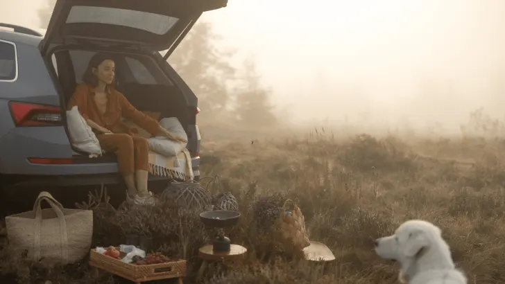Subaru Outback car camping