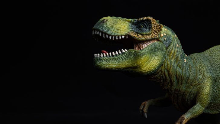 Tyrannosaurus Rex on black background representing the one found at the Mid-America Science Museum
