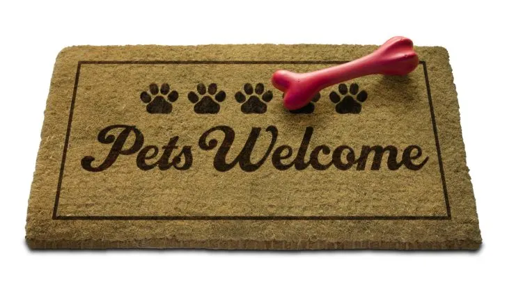 An outdoor doormat that says Pets Welcome