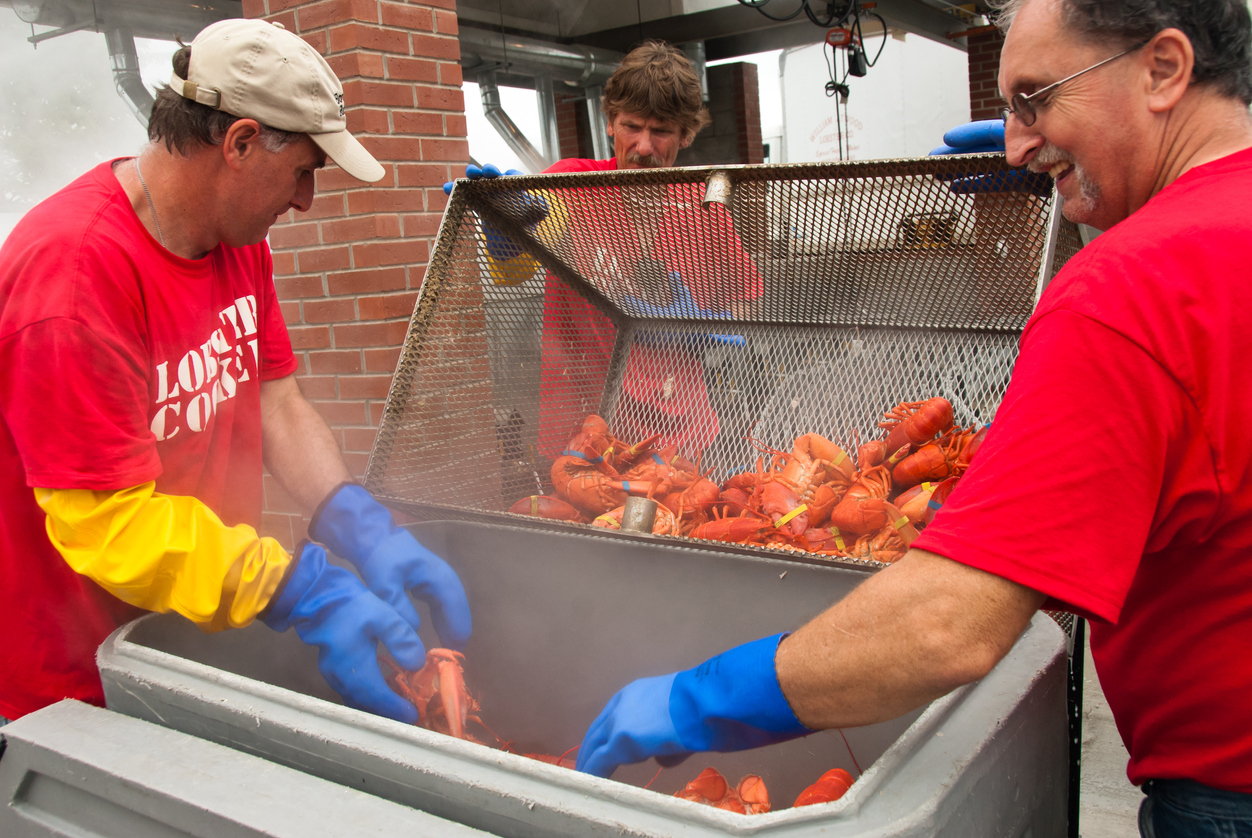 Your Guide to the Maine Lobster Festival in Rockland, ME Drivin' & Vibin'