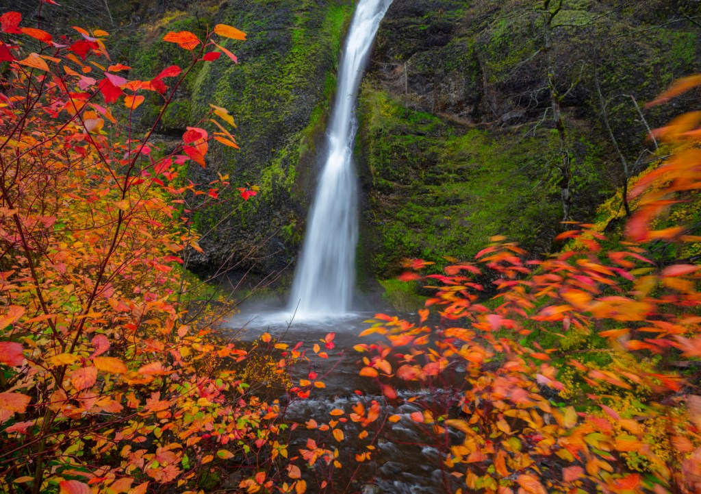 Horsetail falls in the Columbia River Gorge, Oregon, showcasing the beautiful fall foliage of the Northwest