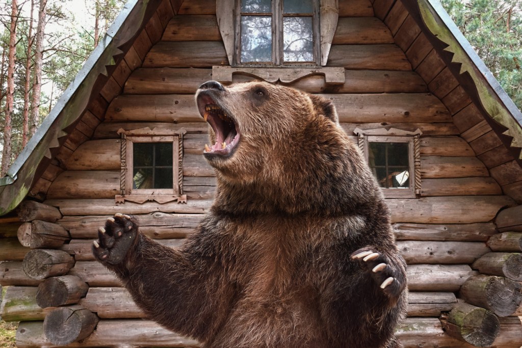 Brown grizzly bear widely open mouth near a wooden house. Can bear spray save you from an attacking bear?