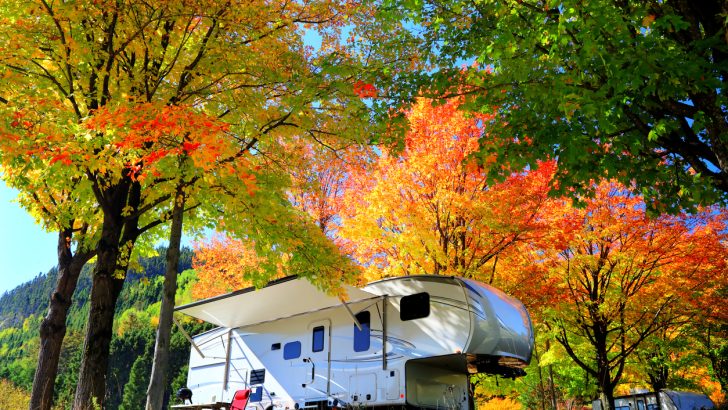 An RV camping under trees with fall colors