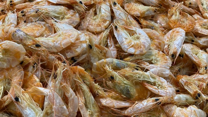 A pile of shrimp