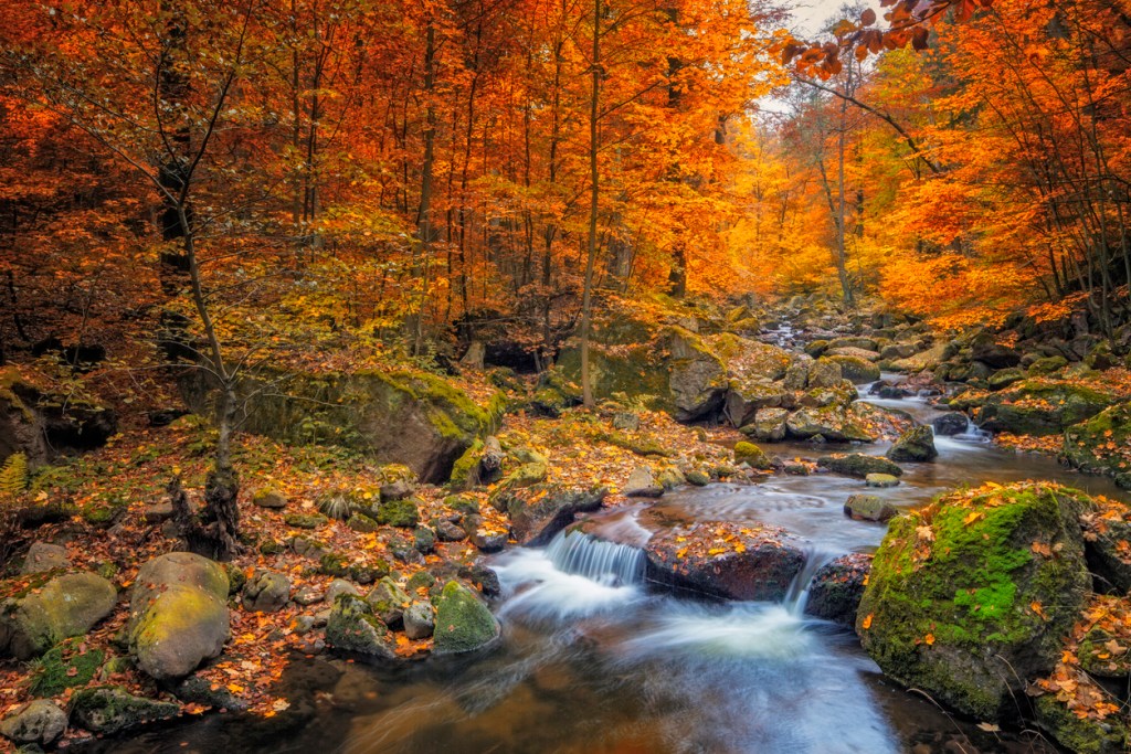A stream with fall leaf colors of red and gold around it, possibly in the Southwest USA