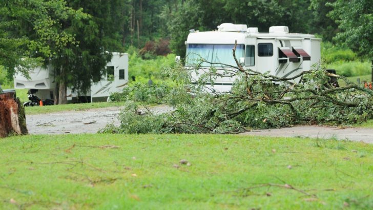 Near miss at a campground where the wind blew trees down around an RV.