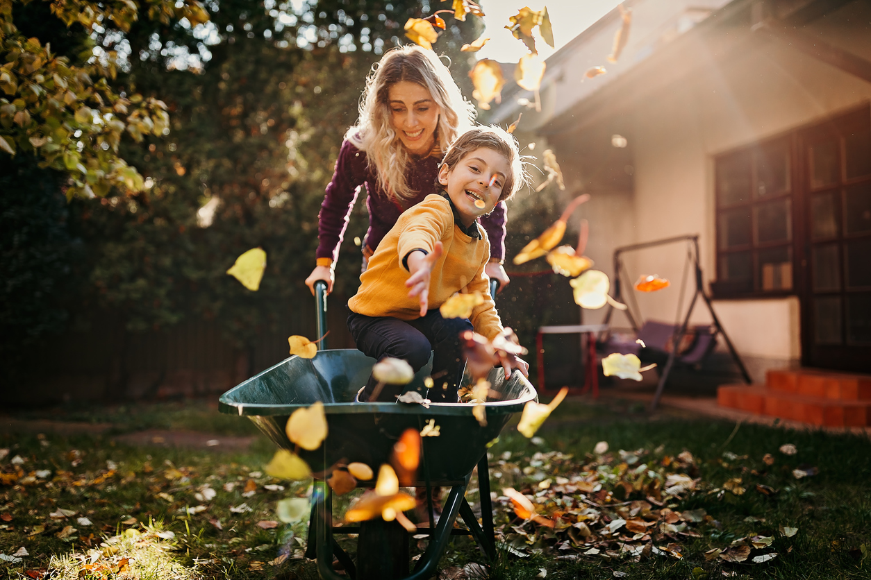 Fall Checklist: 10 Must-Do Activities in the Garden - Drivin' & Vibin'