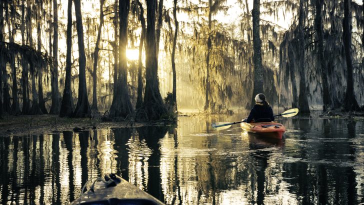 Kayaking through the bayous is a fantastic way to spend a day trip outside of New Orleans