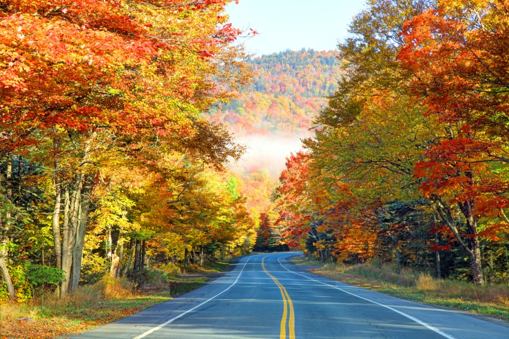 A curving country road through gorgeous fall foliage. Scenic drives are an excellent way to go leaf peeping in the South.