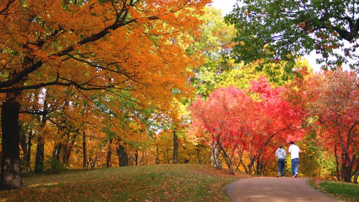 The Midwest has incredible fall foliage