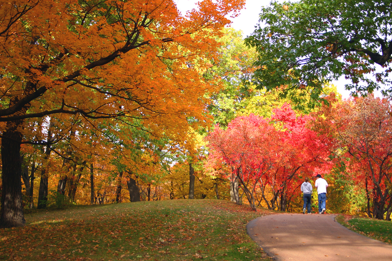 Discover the 5 Best Fall Foliage Destinations in the Midwest - Drivin ...