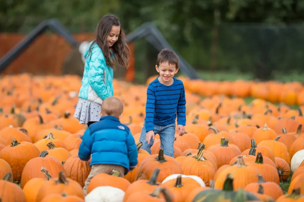 The Land-O-Pines Family RV Park in Louisiana even has a pumpkin patch as part of their Halloween offerings.