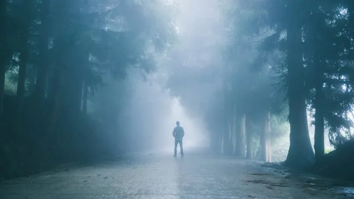 A person standing in foggy woods.