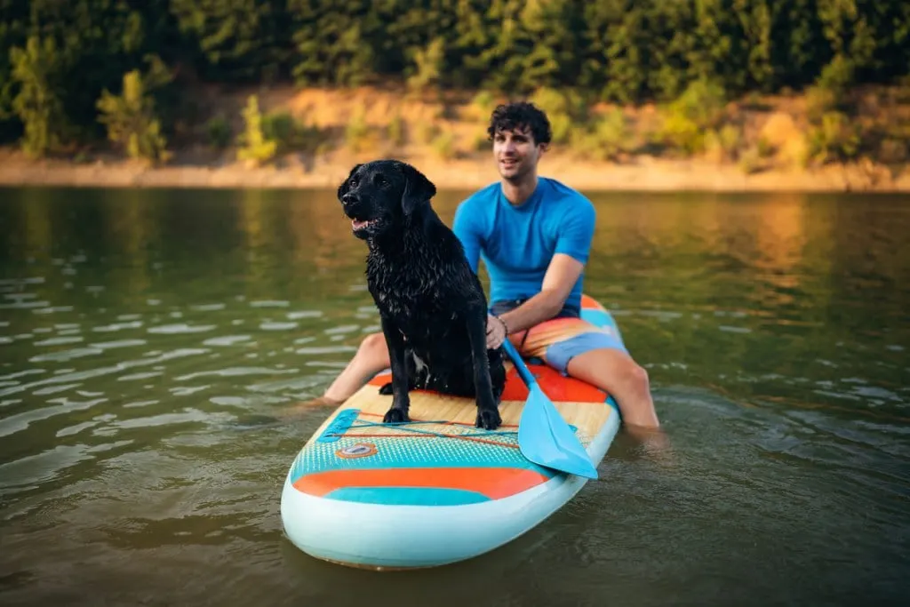 A man and a black labrador dog sitting on a paddleboard