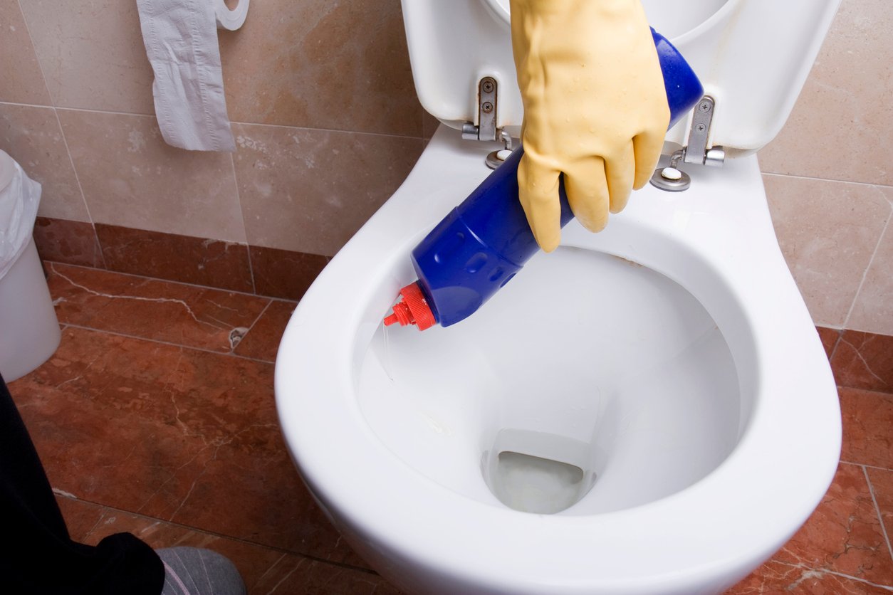 Natural or Not? The Best Toilet Bowl Cleaners - Drivin' & Vibin'