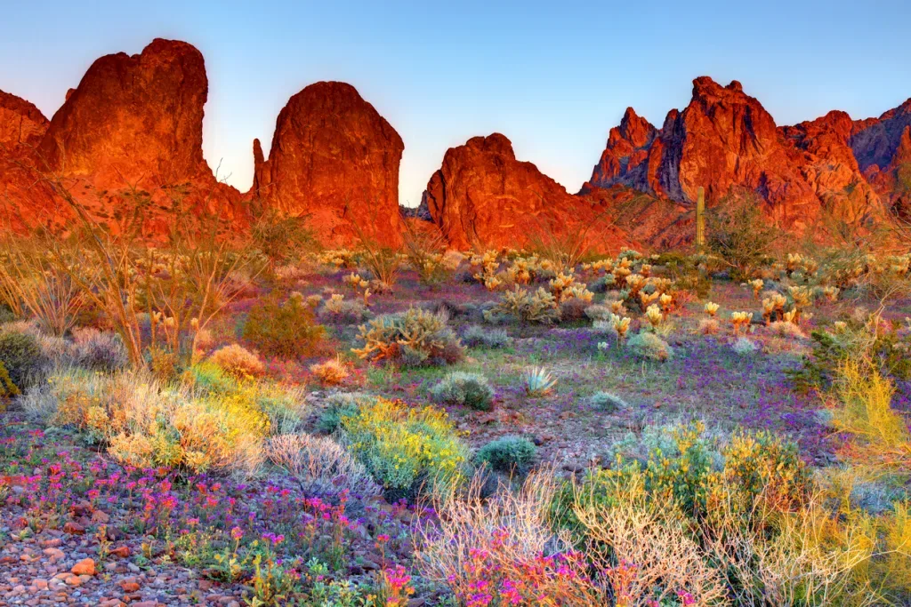 The Kofa Mountains of Yuma and La Paz counties in Arizona is the central mountain range of the Kofa National Wildlife Refuge.