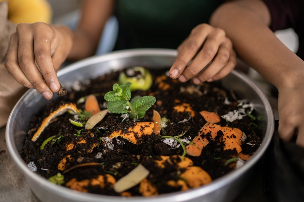 Family hands gardening and composting at home. Which countertop composter is the best?