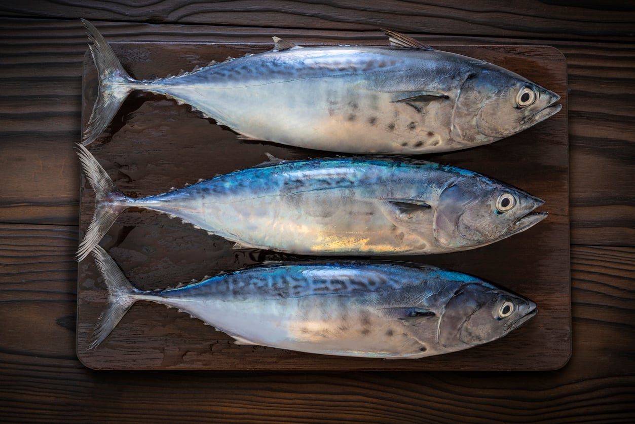 Avoid These Popular - and Toxic - Saltwater Fish - Drivin' & Vibin'