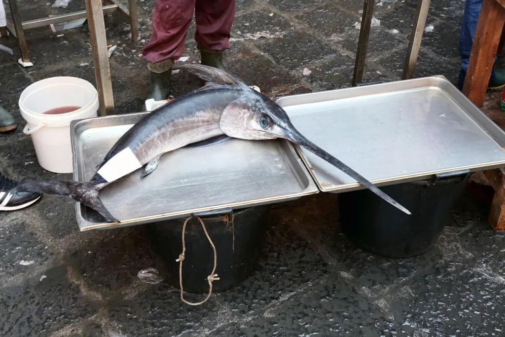 Swordfish on the market in Catania, Sicily, Italy, is one seafood with higher mercury content