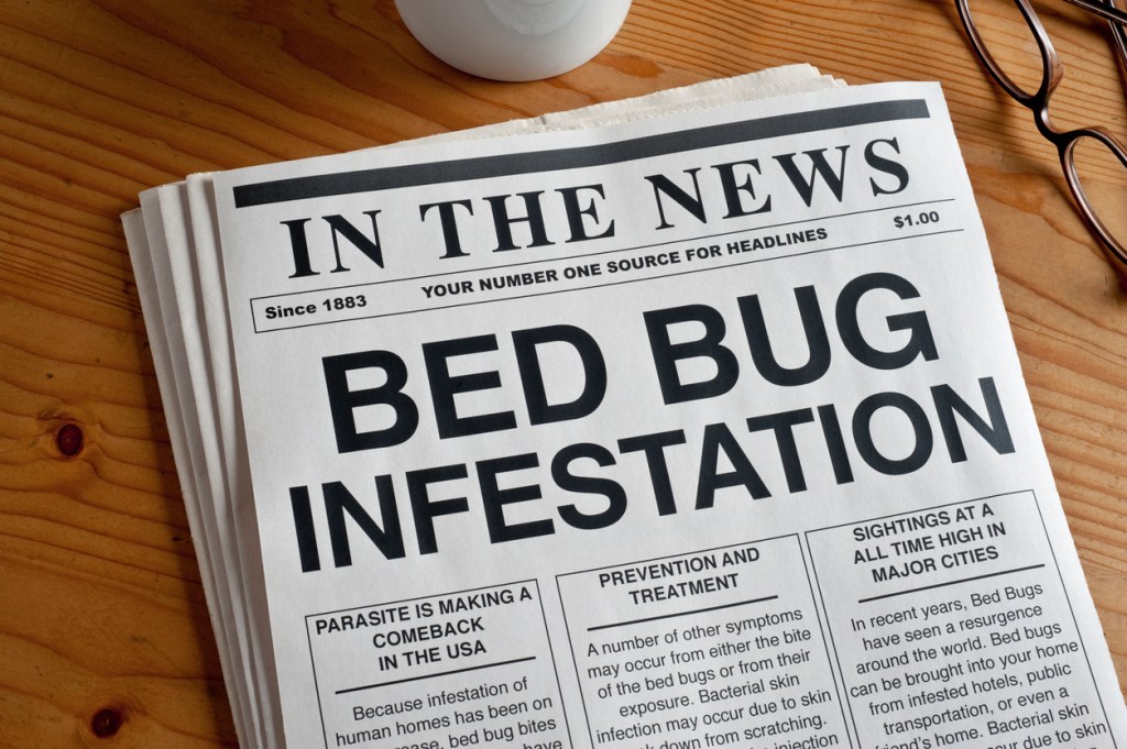 Bed Bug Infestation headline on a mock newspaper - how can you avoid them?