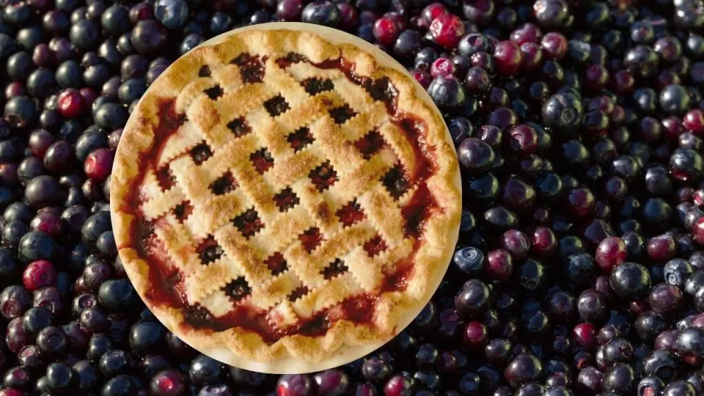 Background of dark blue mountain huckleberries with a huckleberry pie in the foreground
