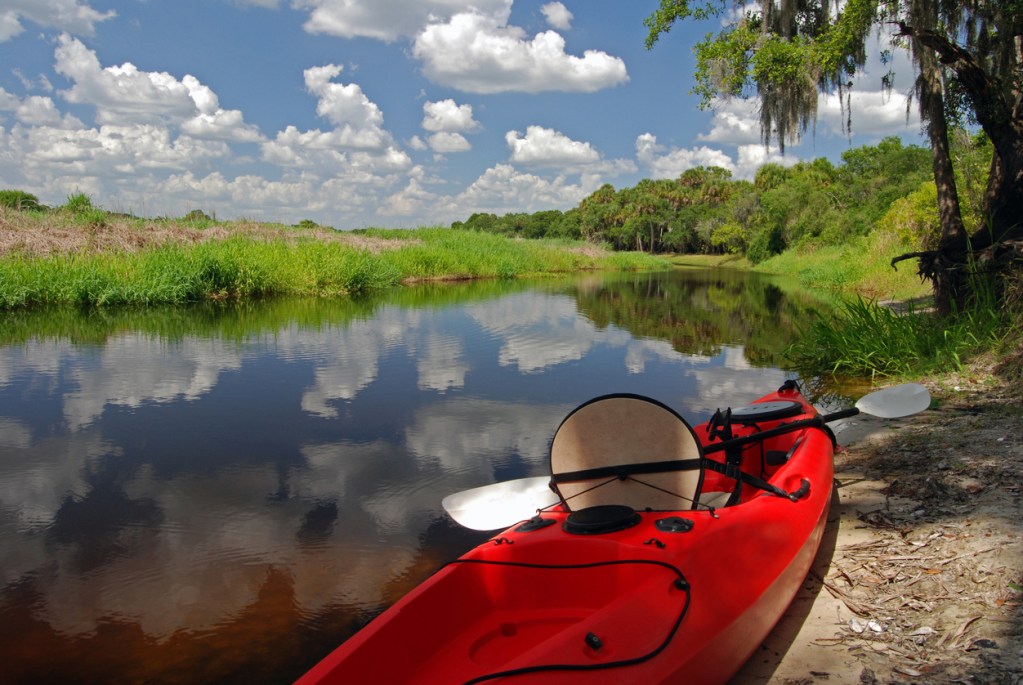 The Myakka River is a great place to explore Sarasota on a budget