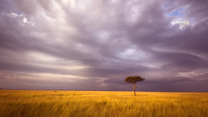 Clouds over Africa - what kind of weather will they bring?