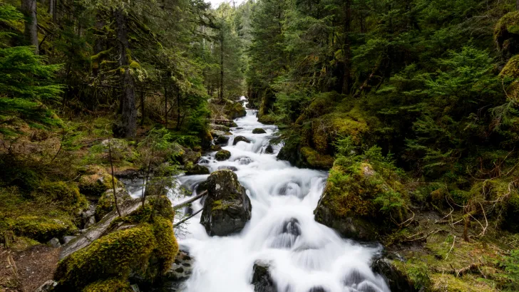 Virgin creek falls in the Chugach National Forest, Alaska