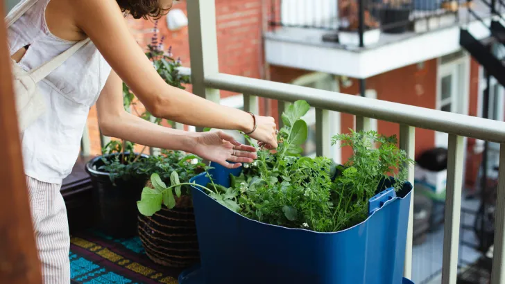 A woman taking care of her apartment budget container garden