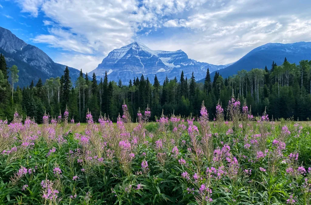Mount Robson Provincial Park in British Columbia is an excellent place to RV
