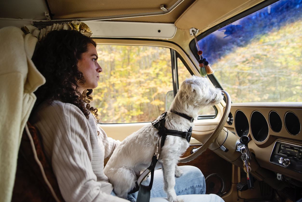 7 RV Nightmares That Will Ruin Your Road Trip - Drivin' & Vibin'