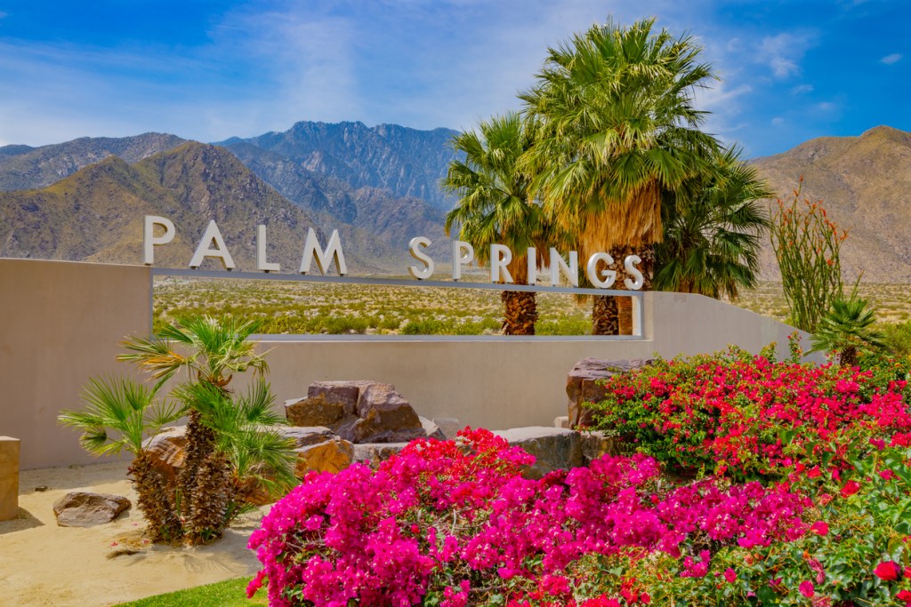 The Palm Springs welcome sign flanked by bright pink flowers and lush palm trees.
